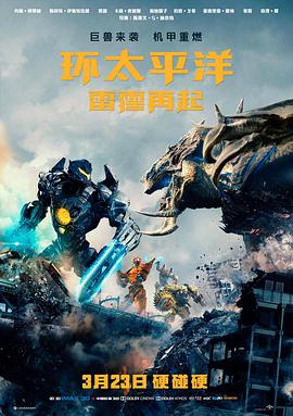 雾港回响影片封面